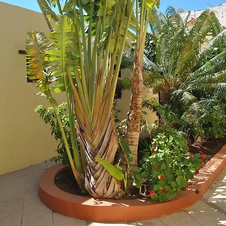 Casa rural La Aldaba Agüimes